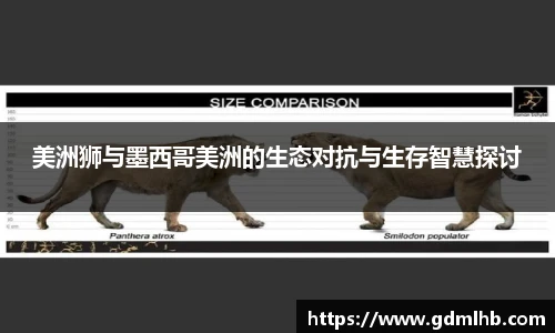 BBIN宝盈