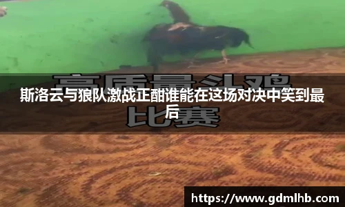 中国bbin宝盈集团有限公司